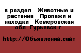  в раздел : Животные и растения » Пропажи и находки . Кемеровская обл.,Гурьевск г.